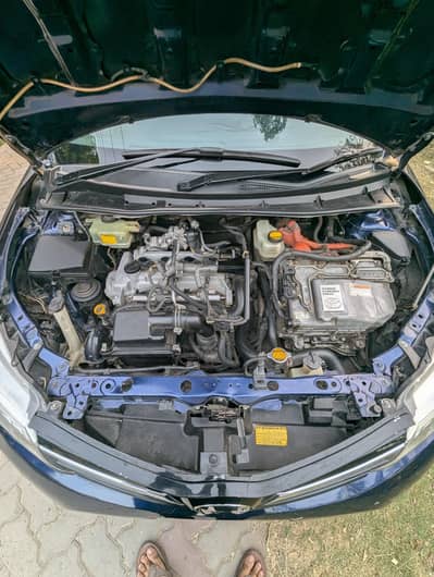 Toyota Corolla Axio hybrid 2014