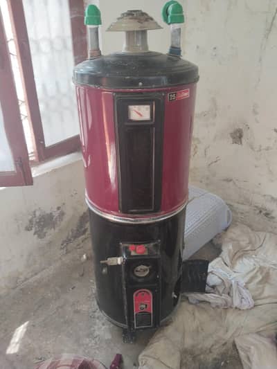 geyser for sell