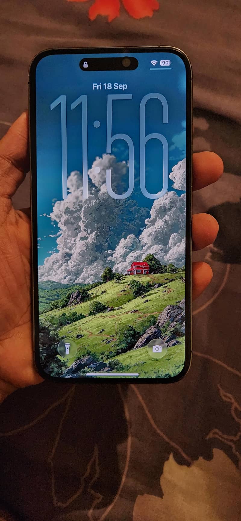 14 pro max 6