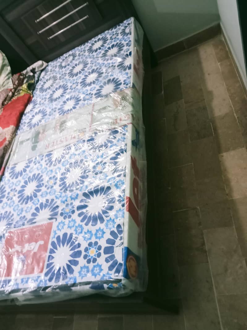 BED Single 1