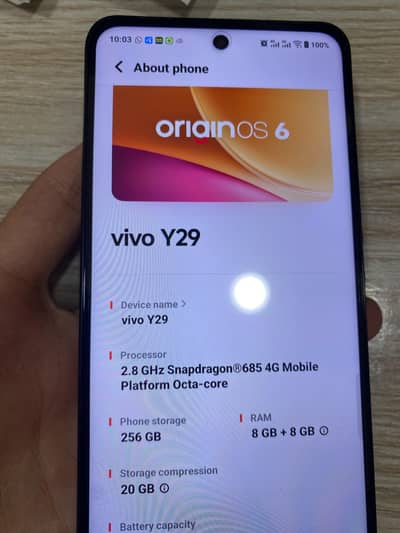 Vivo Y29