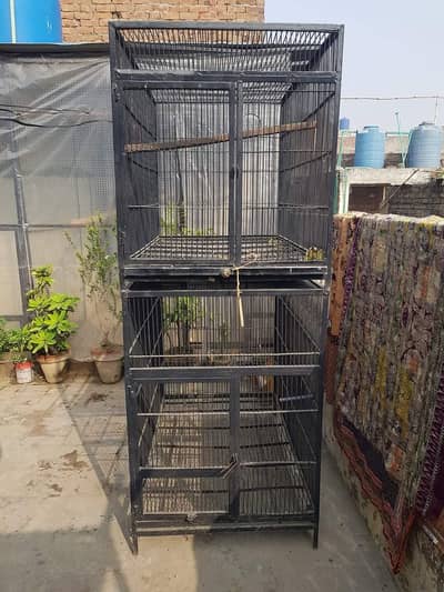 2 Cage 2.5×3×4 10 No Wire 0320-4592532