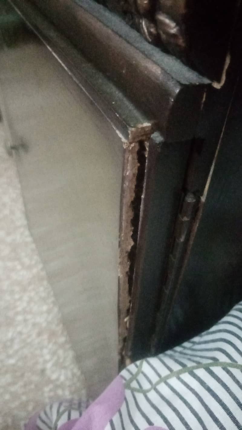 Showcase used normal condition 3