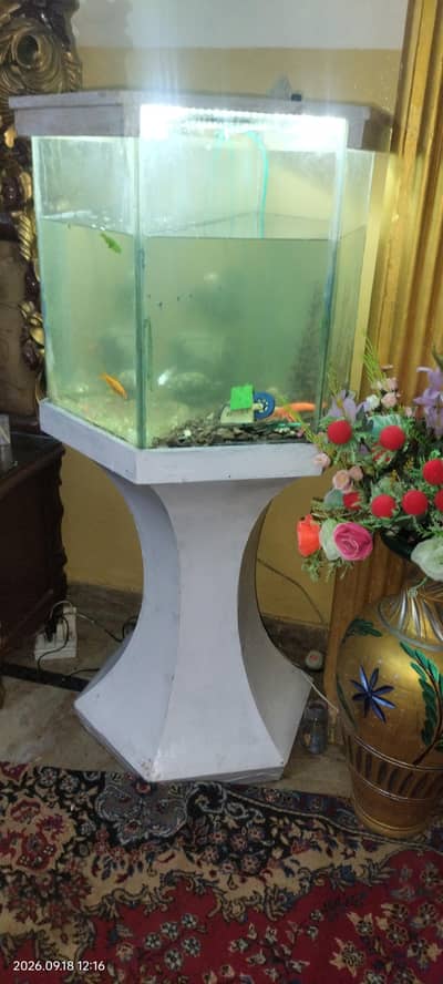 aquarium with stand fish