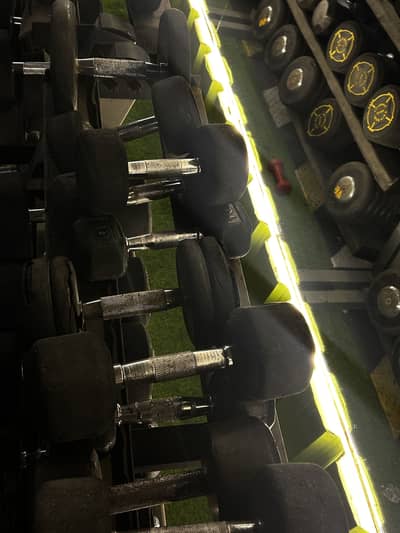500 kg dumbells set for sell
