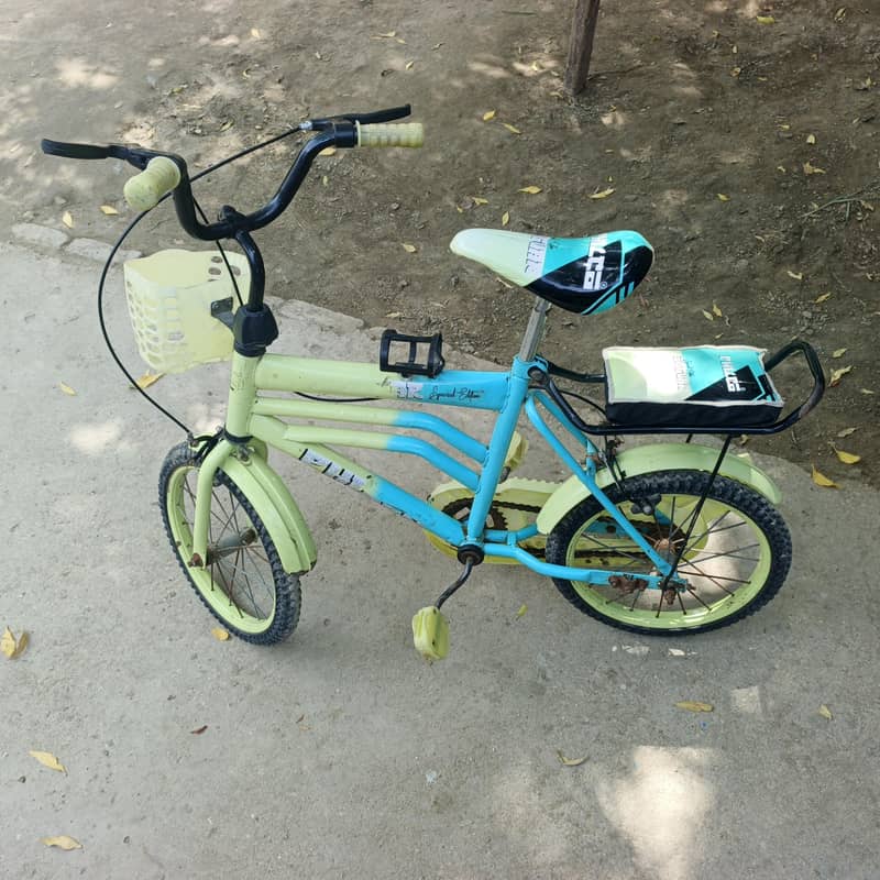 Cycle 2