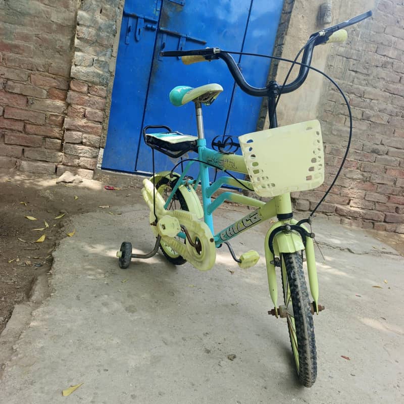 Cycle 4