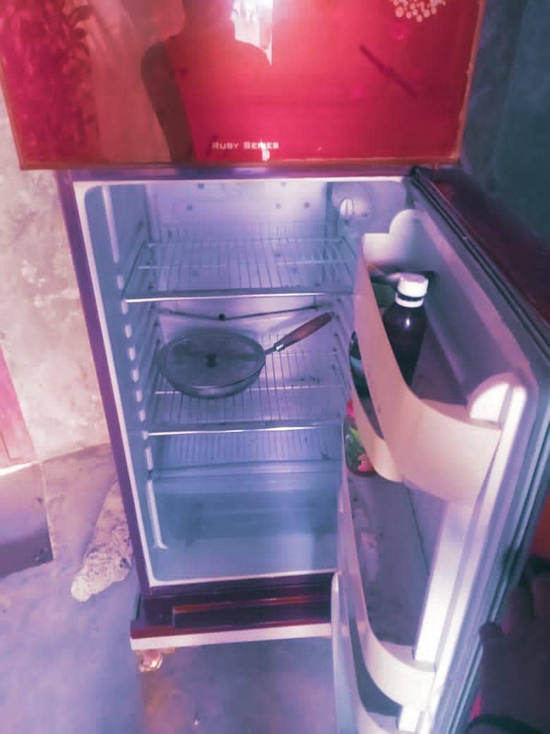 fridge 3