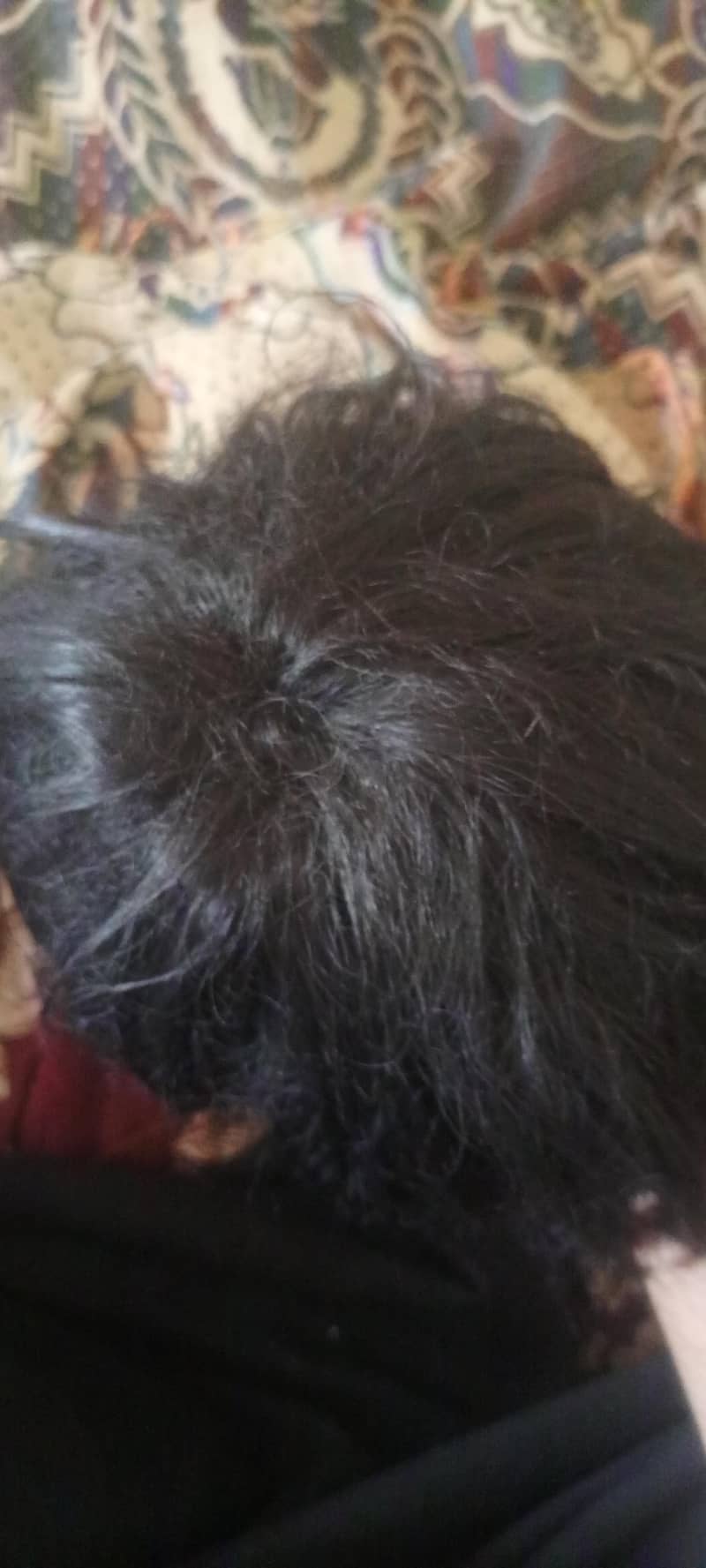 hairs wig 2