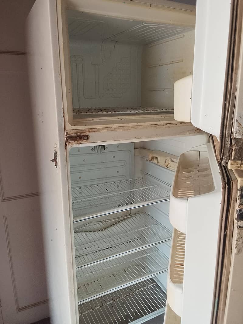fridge 1