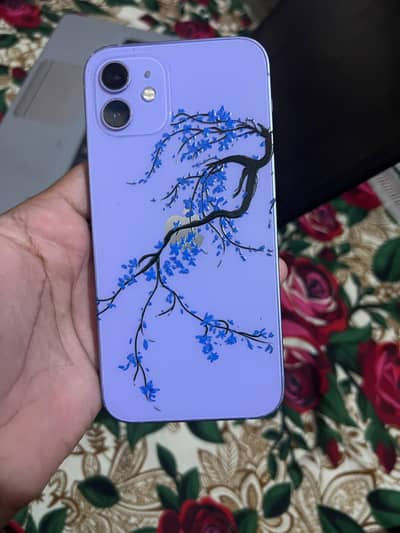 Apple iPhone 12