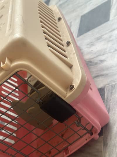 Cat Jet Box Available for sale