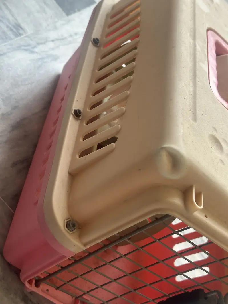 Cat Jet Box Available for sale — photo 2