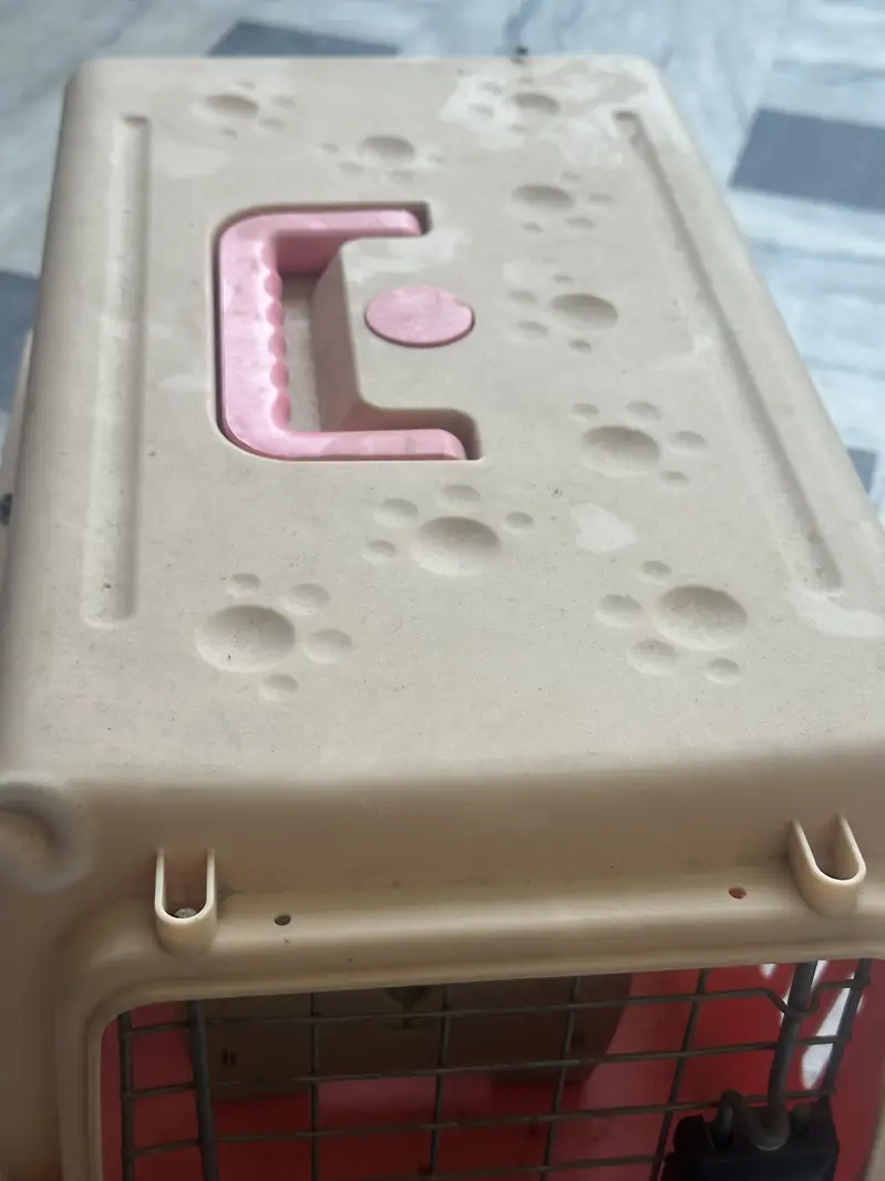 Cat Jet Box Available for sale — photo 3