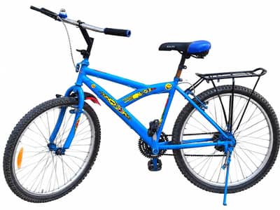 Bicycle with gears