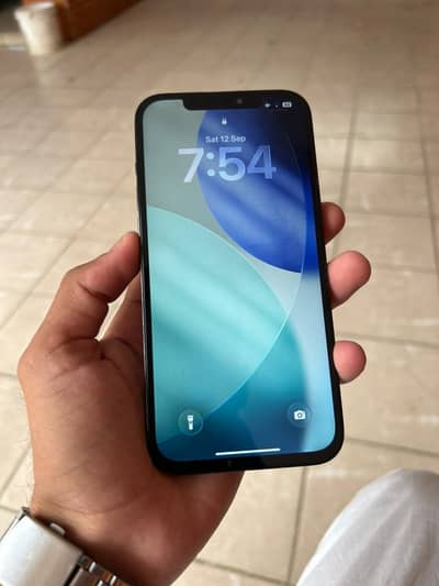 Apple iPhone 12 Pro Max Bypass