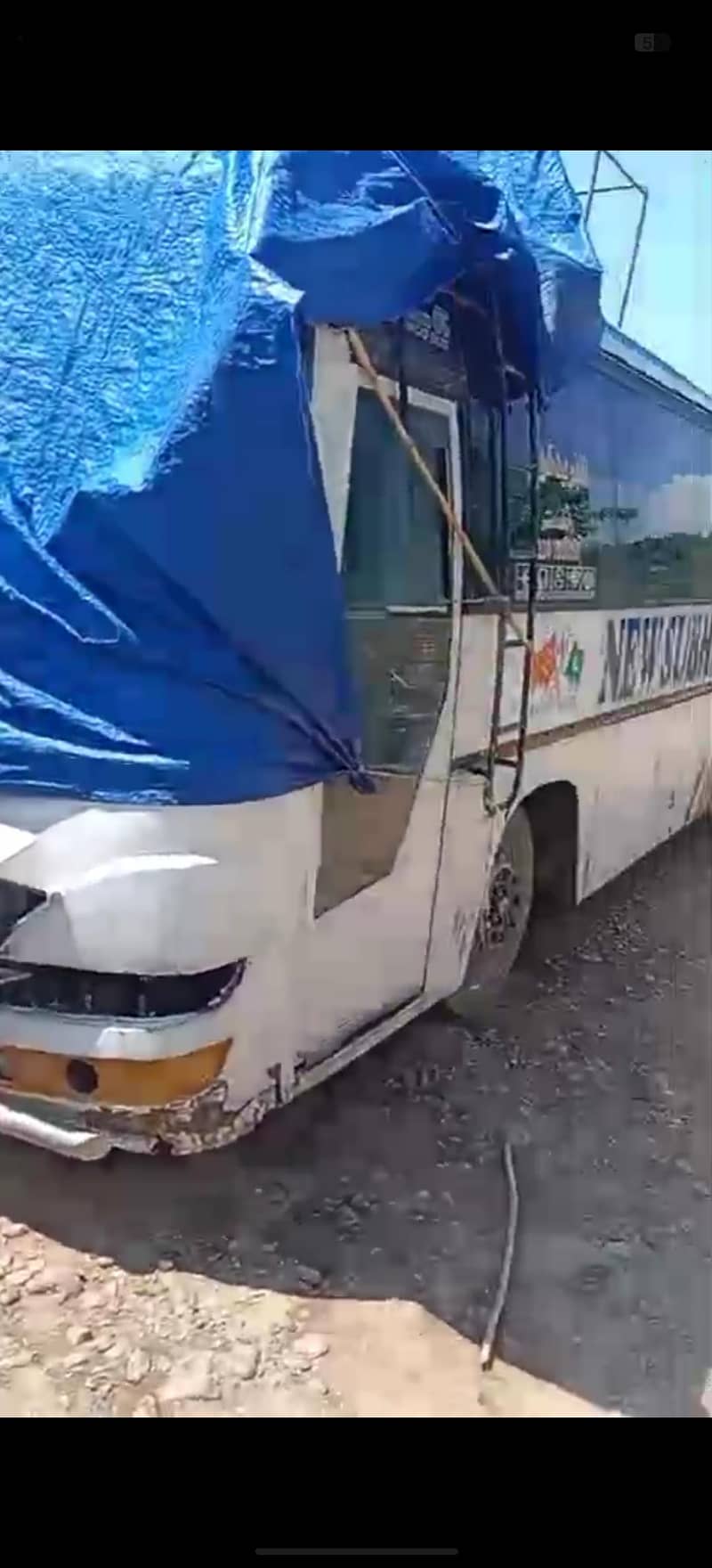Buses 3