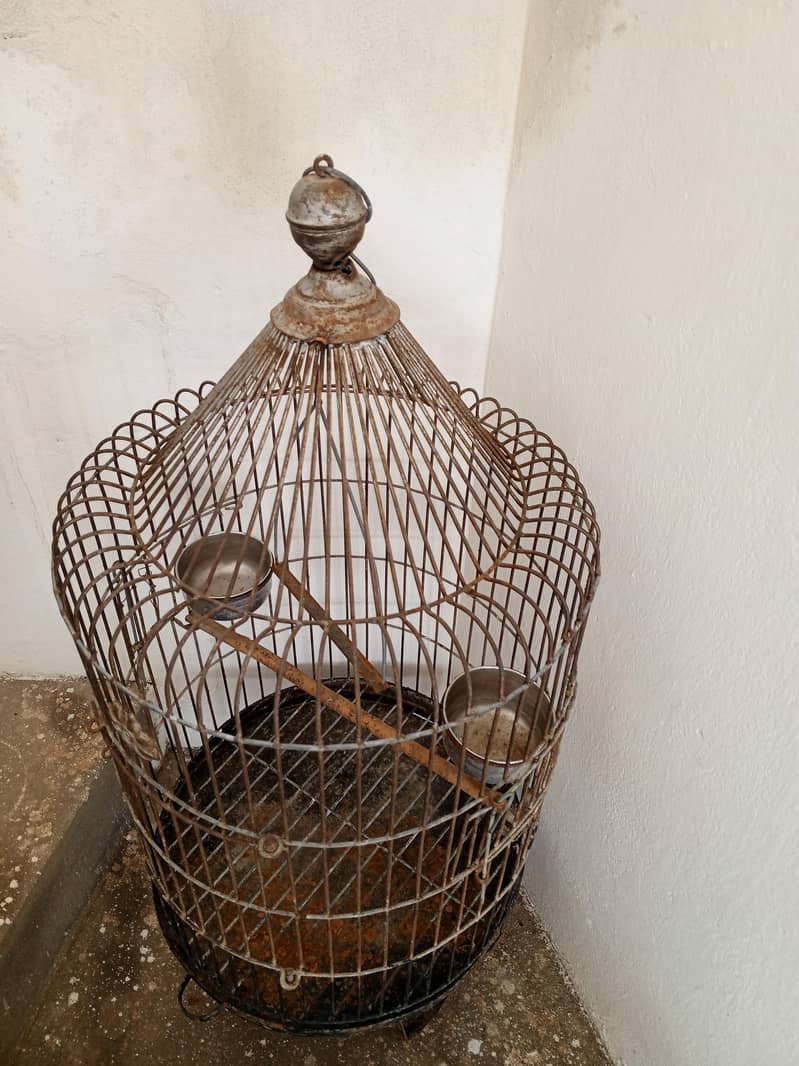 parrot cage 1