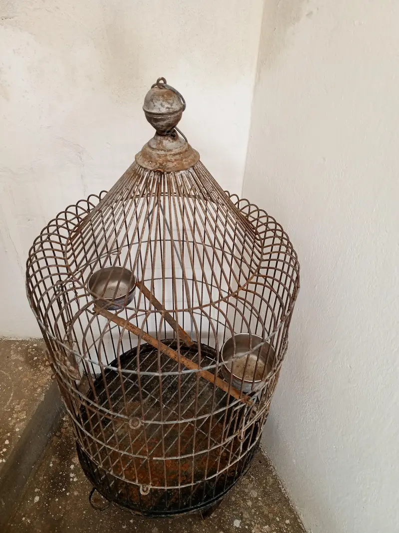 parrot cage — photo 2