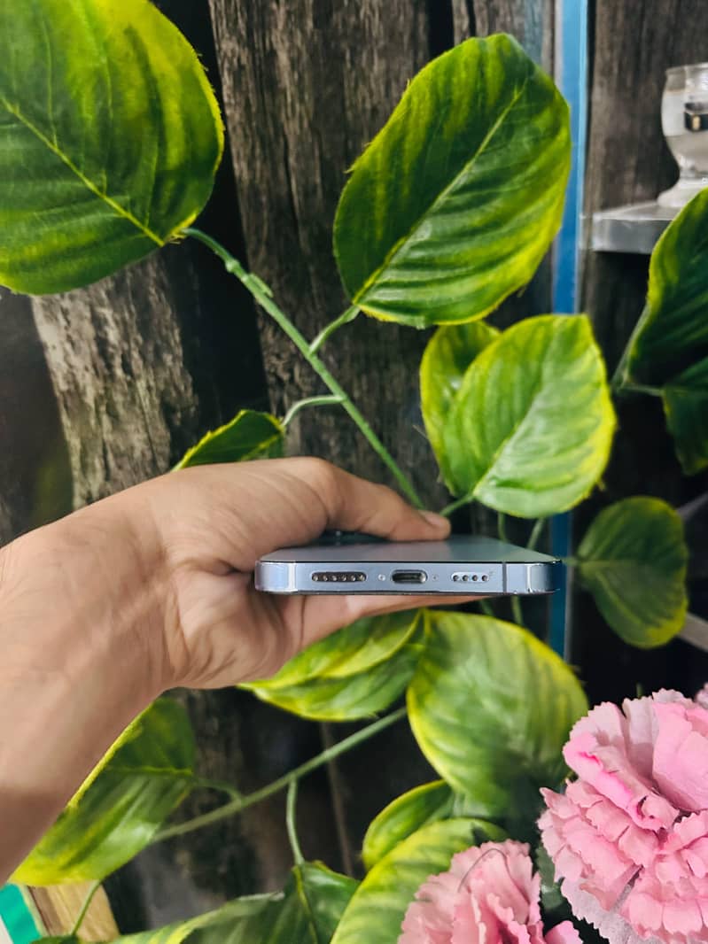 Apple iPhone 13 Pro Max 1