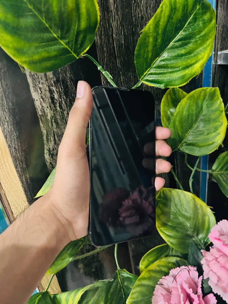 Apple iPhone 13 Pro Max 2