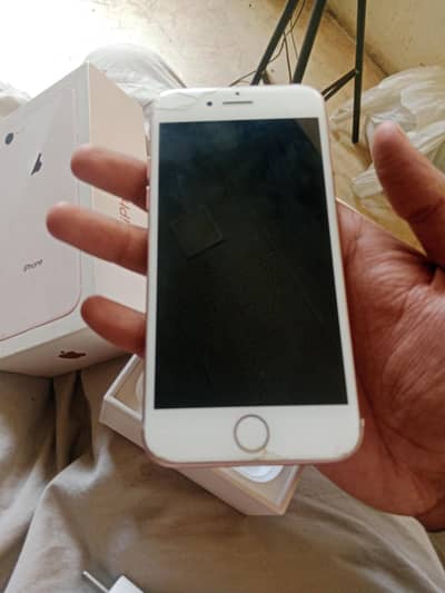 ipohne 8 64 gb with box