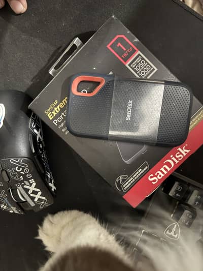 SanDisk Extreme Portable SSD 1TB E61
