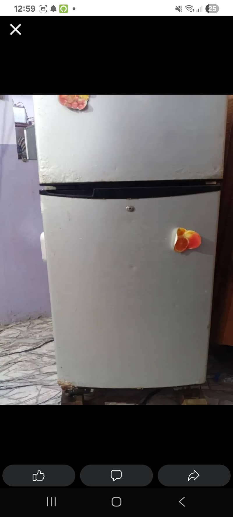 fridge 2