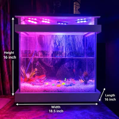 Complete Fish Aquarium Setup for Sale (