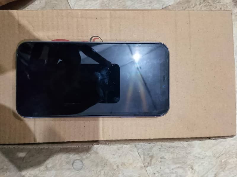 Apple iPhone 11 1