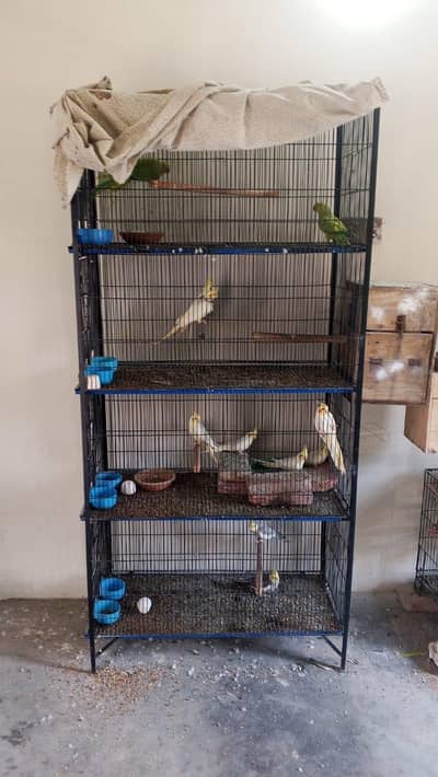 Cage for sale 4 portion