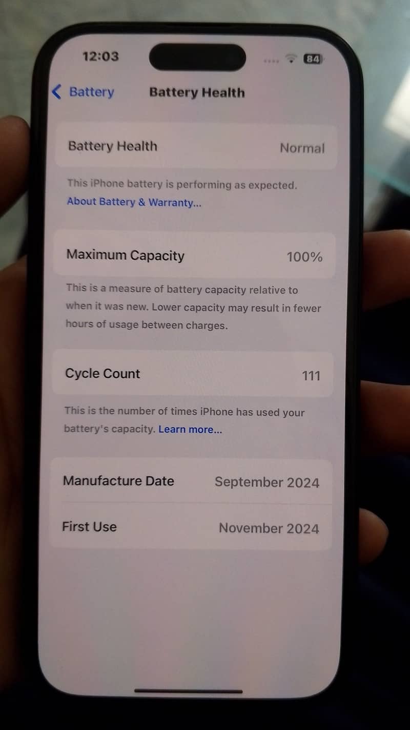 Apple iPhone 16 2
