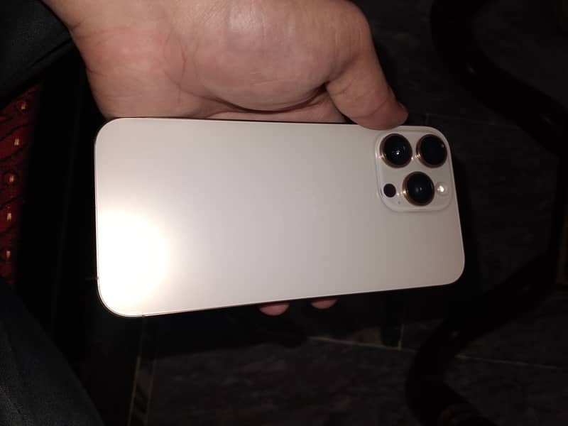 Apple iPhone 16 Pro Max 1