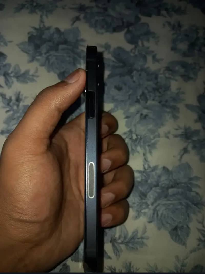Apple iPhone 12 2