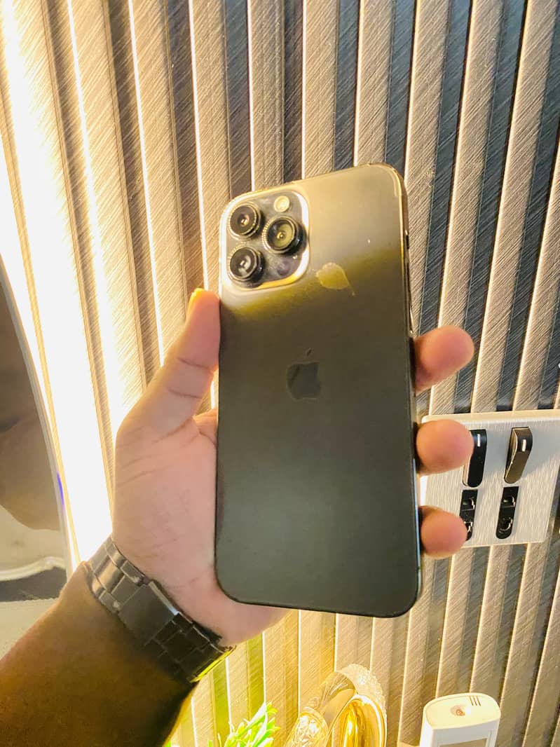 Apple iPhone 13 Pro Max 1