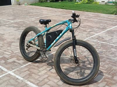Electric Bicycle.