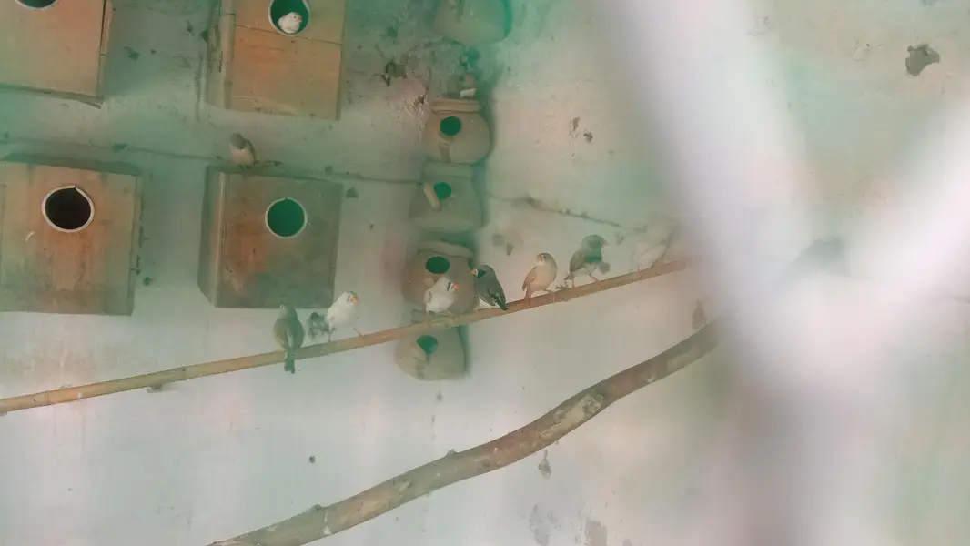 0308---2936434
