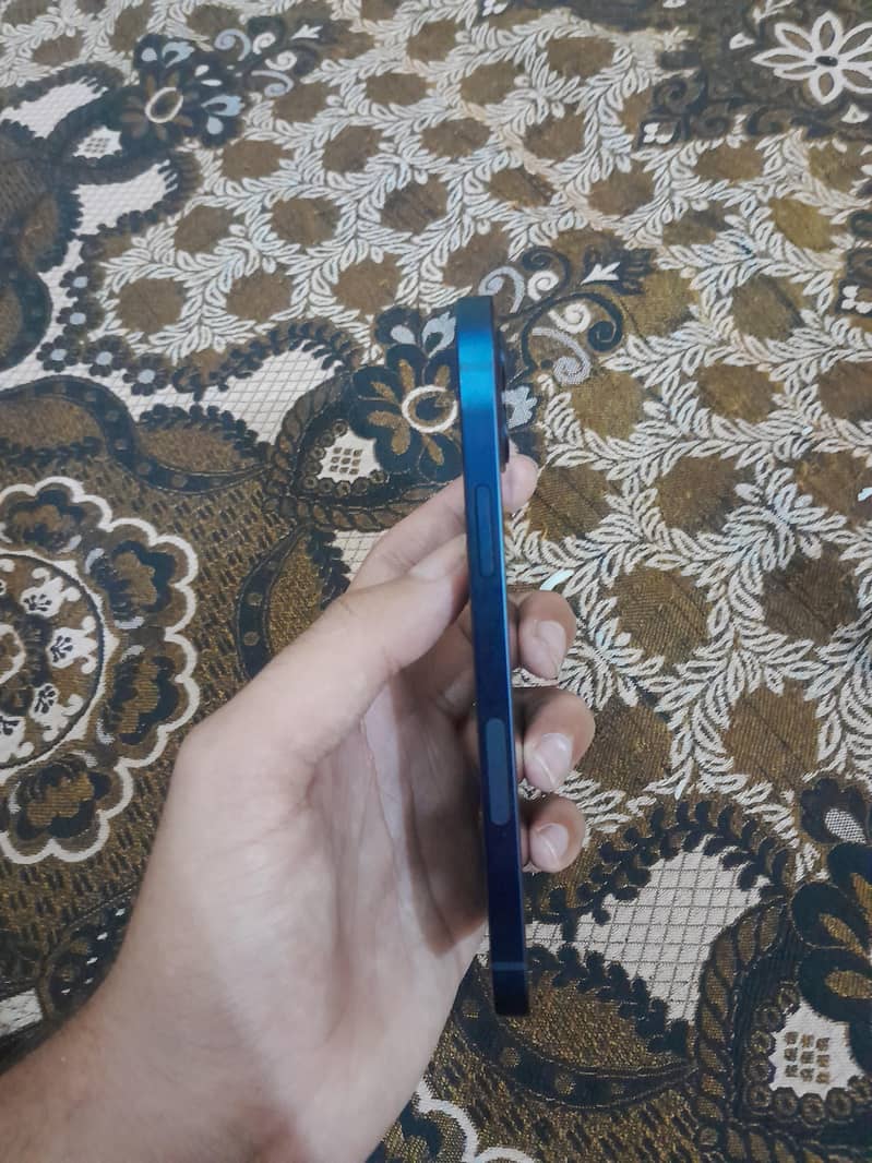 Apple iPhone 12 1