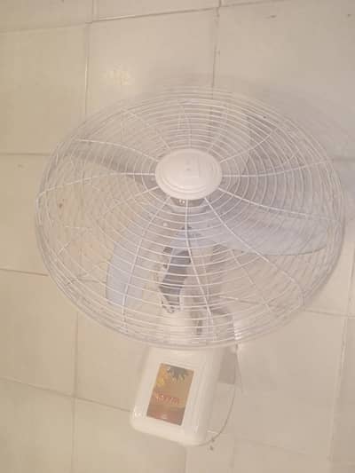Royal bracket Fan