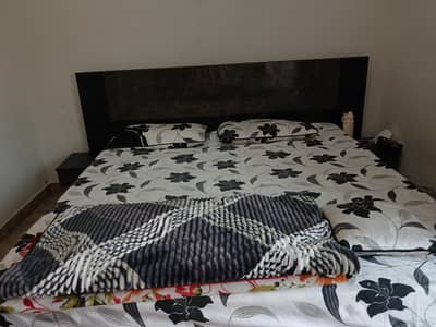 habbit bed