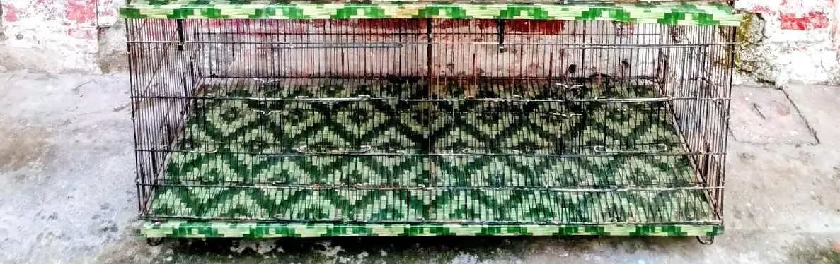 CAGES FOR SALE – ISLAMABAD — photo 3