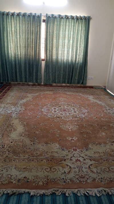 Irani Kaleen for sale