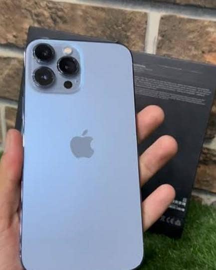 Apple iPhone 13 Pro Max 1