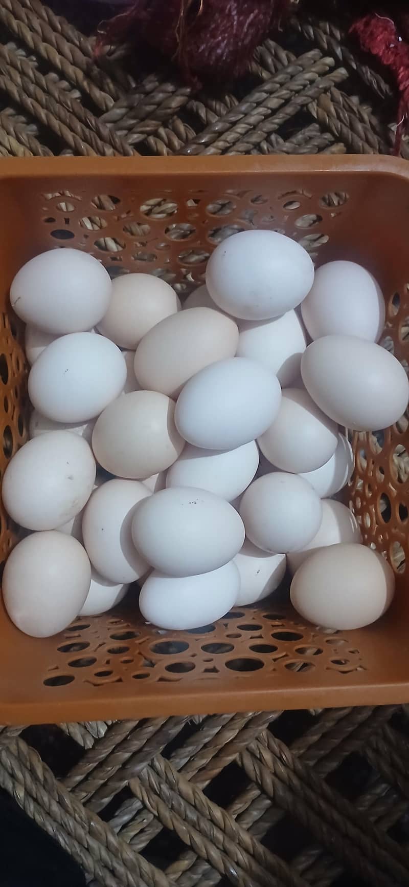 Desi eggs 0