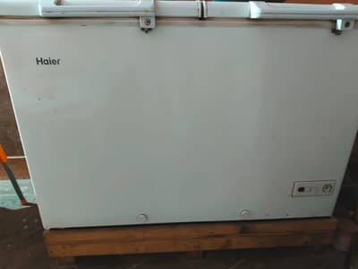 Haier D freezer double door