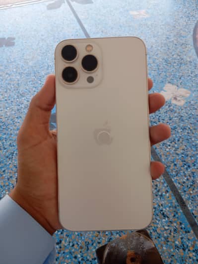 Apple iPhone 13 Pro Max