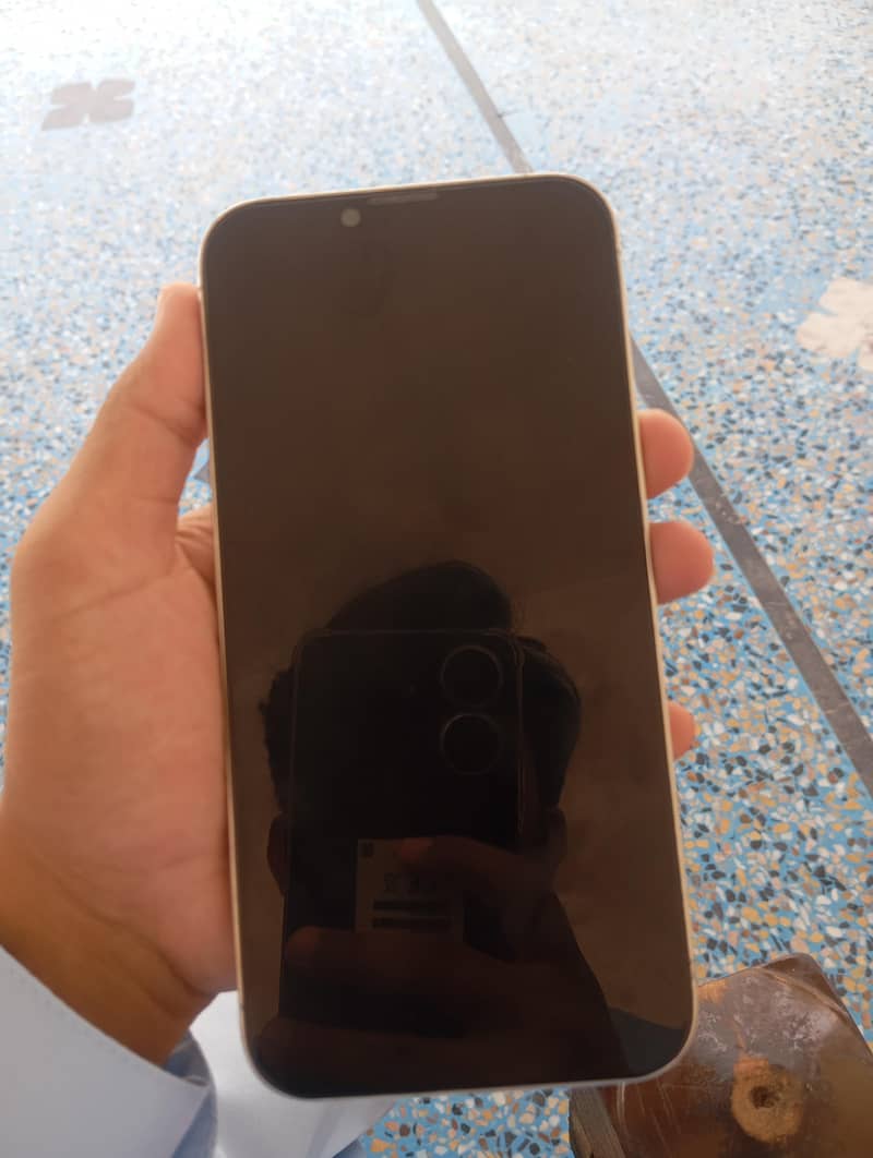 Apple iPhone 13 Pro Max 1