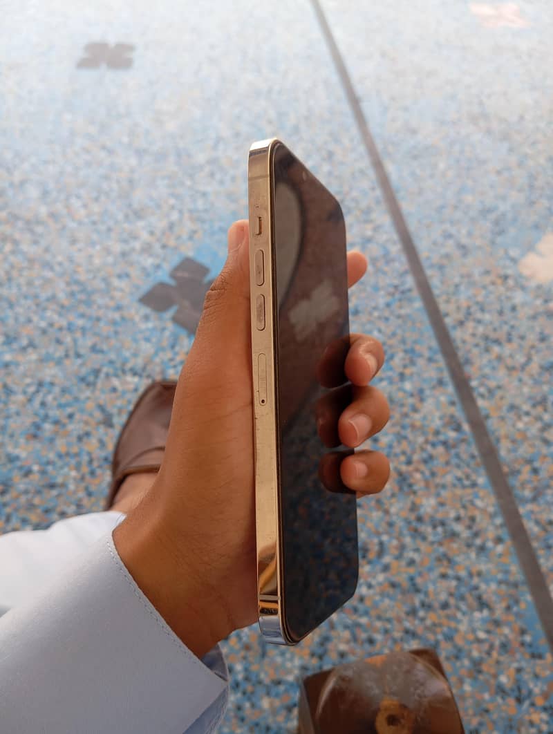 Apple iPhone 13 Pro Max 3