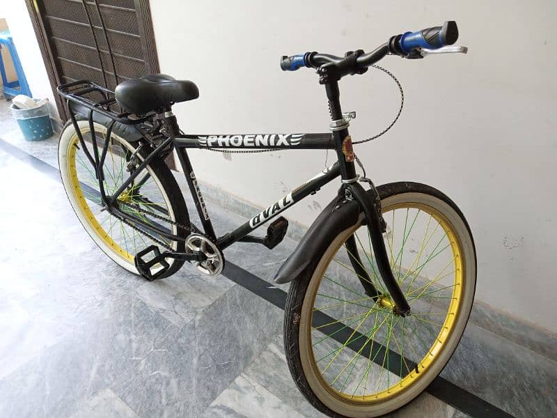 Phoenix Bicycle 1