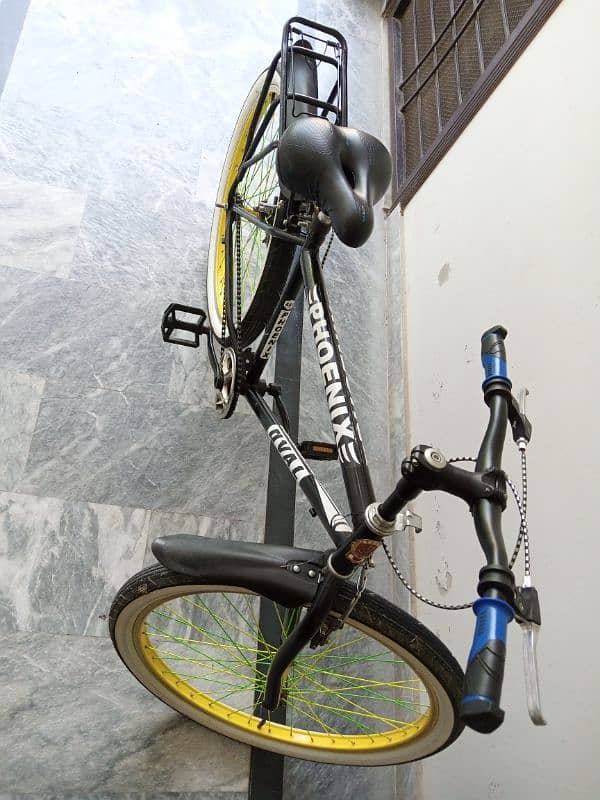 Phoenix Bicycle 2